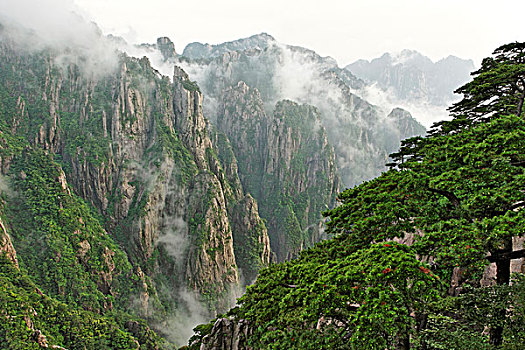 在哪里可以买到听华水C1B8D97C5-18975